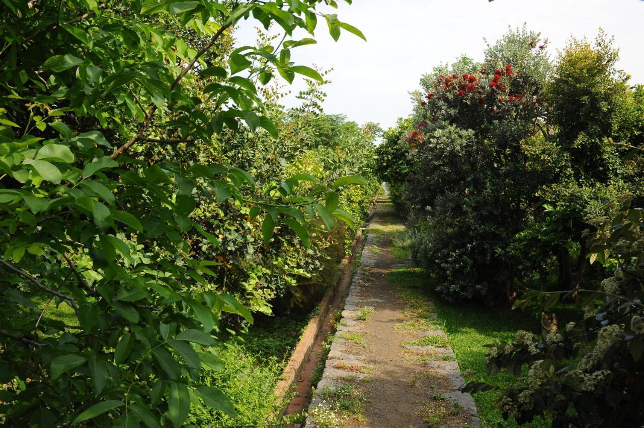 Tenuta Santa Tecla Acireale Dış mekan fotoğraf